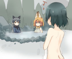 Rule 34 | 10s, 3girls, ^^^, amai nekuta, animal ears, ass, black bow, black bowtie, black hair, blonde hair, bow, bowtie, cat ears, collar, commentary request, covering privates, fox ears, from behind, holding, holding towel, kaban (kemono friends), kemono friends, long hair, multiple girls, naked towel, nude cover, onsen, partially submerged, serval (kemono friends), short hair, shoulder blades, silver fox (kemono friends), sweatdrop, towel, white towel, yellow eyes, you&#039;re doing it wrong