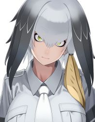 Rule 34 | 10s, 1girl, black hair, breasts, go robots, green eyes, grey shirt, grey theme, head wings, kemono friends, large breasts, looking at viewer, multicolored hair, necktie, portrait, shirt, shoebill (kemono friends), short sleeves, side ponytail, silver hair, simple background, solo, staring, white background, wings, yellow eyes