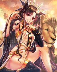 Rule 34 | 1girl, adjusting hair, animal, anklet, armlet, asymmetrical sleeves, bare arms, bare legs, bare shoulders, black detached sleeves, black hair, black ribbon, black thighhighs, bracelet, breasts, clothing cutout, cloud, crown, detached sleeves, earrings, fate/grand order, fate (series), female focus, finger to mouth, gem, hair ornament, hair ribbon, hoop earrings, ishtar (fate), jewelry, knee up, legs, lion, long hair, looking at viewer, medium breasts, naughty face, navel, navel cutout, neck, neck ring, outdoors, pelvic curtain, red eyes, revealing clothes, ribbon, single sleeve, single thighhigh, sitting, sky, smile, solo, strapless, sunset, thighhighs, thighlet, tohsaka rin, tsurumura ichiru, twilight, two side up, type-moon, uneven sleeves, very long hair