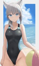 Rule 34 | 1girl, absurdres, animal ear fluff, animal ears, ball, beach, beachball, black one-piece swimsuit, blue archive, blue eyes, blue sky, breasts, cloud, competition swimsuit, covered navel, cross hair ornament, day, extra ears, grey hair, hagane (hagane1212), hair ornament, halo, highres, horizon, looking at viewer, low ponytail, medium breasts, medium hair, mismatched pupils, multicolored clothes, multicolored swimsuit, ocean, official alternate costume, one-piece swimsuit, outdoors, shiroko (blue archive), shiroko (swimsuit) (blue archive), sky, smile, solo, swimsuit, wolf ears