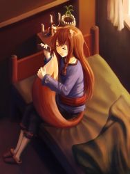 Rule 34 | 1girl, absurdres, colorized, eagleshadow, highres, holo, indoors, md5 mismatch, self-upload, solo, spice and wolf, tail, hugging tail