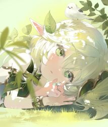 Rule 34 | 1girl, absurdres, animal, animal on head, bird, bird on head, buri (retty9349), cross-shaped pupils, dress, genshin impact, grass, green eyes, highres, leaf, long hair, looking at viewer, lying, nahida (genshin impact), on ground, on head, on side, open mouth, pointy ears, solo, symbol-shaped pupils, white dress, white hair