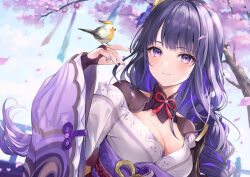 Rule 34 | 1girl, bird, bird on hand, blue sky, braid, breasts, cherry blossoms, cleavage, closed mouth, cloud, commentary request, day, falling petals, floating hair, genshin impact, higeneko, japanese clothes, kimono, long hair, long sleeves, looking at viewer, low-braided long hair, low-tied long hair, medium breasts, mitsudomoe (shape), mole, mole under eye, neck ribbon, obi, off shoulder, outdoors, petals, purple eyes, purple hair, purple kimono, raiden shogun, red ribbon, ribbon, sash, shrug (clothing), sidelocks, single braid, sky, smile, solo, tomoe (symbol), tree, upper body, very long hair, wide sleeves