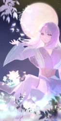 Rule 34 | 1girl, bug, butterfly, closed mouth, flower, highres, insect, long hair, moon, night, night sky, outstretched hand, purple eyes, purple hair, qinshi mingyue, second-party source, shao siming (qin shi ming yue), sitting, sky, solo, thighhighs, veil, zhu qing yue bai
