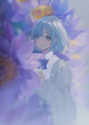 Rule 34 | 1girl, absurdres, blue eyes, blue hair, blue ribbon, blunt bangs, blurry, blush, bob cut, bow, bowtie, cardigan, collared shirt, commentary request, depth of field, flower, grey cardigan, highres, lily (flower), long sleeves, looking at viewer, open cardigan, open clothes, original, outstretched hand, plaid, puffy long sleeves, puffy sleeves, purple flower, ribbon, senryoko, shirt, short hair, sidelocks, smile, solo, upper body, water lily flower, white shirt