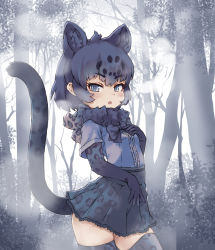 Rule 34 | 1girl, animal ears, black bow, black bowtie, black gloves, black hair, black jaguar (kemono friends), black skirt, black thighhighs, blue eyes, blue shirt, bow, bowtie, center frills, commentary request, cowboy shot, elbow gloves, extra ears, forest, frilled skirt, frills, fur collar, gloves, hand on own chest, highres, jaguar ears, jaguar girl, jaguar print, jaguar tail, kemono friends, kolshica, looking at viewer, nature, pleated skirt, print gloves, print skirt, print thighhighs, shirt, short hair, short sleeves, skirt, solo, tail, thighhighs, zettai ryouiki