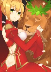 Rule 34 | &gt;:3, 10s, 1girl, :3, ahoge, back, backless dress, backless outfit, braid, breasts, closed mouth, dress, epaulettes, fate/extra, fate (series), french braid, from side, hair between eyes, hair bun, hair intakes, hair ribbon, highres, juliet sleeves, lio (rumei2265874644), lion, long sleeves, looking at viewer, looking back, medium breasts, nero claudius (fate), nero claudius (fate) (all), nero claudius (fate/extra), panties, panty peek, puffy sleeves, red dress, red ribbon, ribbon, short hair, sidelocks, single hair bun, smile, solo, underwear, upper body, v-shaped eyebrows, white panties