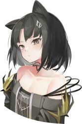Rule 34 | 1girl, animal ears, arknights, bare shoulders, black choker, black dress, black hair, blush, breasts, brown eyes, cat ears, choker, closed mouth, collarbone, dress, flat chest, highres, idashige (walkietalkie), mandragora (arknights), off-shoulder dress, off shoulder, short hair, simple background, small breasts, solo, upper body, white background
