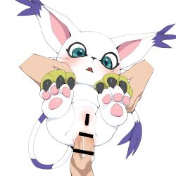 Rule 34 | 1boy, 1girl, anal, animal hands, bar censor, blue eyes, blush, cat, censored, claws, cum, cum in ass, digimon, digimon (creature), fangs, furry, gloves, hetero, highres, pussy, sex, simple background, tail, tailmon, whiskers, white background, youjo modoki
