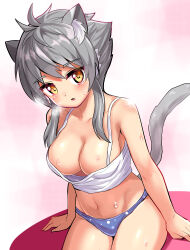 Rule 34 | 1girl, :o, animal ears, ashroa (cougar1404), blue panties, breasts, breath, camisole, cat ears, cat girl, cat tail, commentary, cougar (cougar1404), grey hair, groin, looking at viewer, medium breasts, navel, open mouth, original, panties, polka dot, polka dot panties, sidelocks, sitting, solo, sweat, tail, underwear, underwear only, white camisole, yellow eyes