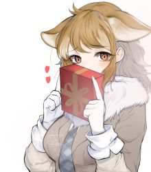 Rule 34 | 10s, 1girl, animal ears, bad id, bad twitter id, blush, brown eyes, commentary request, covering face, dnsdltkfkd, ears down, extra ears, fur collar, gift, gloves, heart, highres, italian wolf (kemono friends), kemono friends, light brown hair, long hair, long sleeves, multicolored hair, necktie, plaid necktie, plaid neckwear, sleeve cuffs, solo, upper body, white gloves, white hair, wolf ears