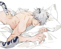 Rule 34 | 1boy, animal ears, blue eyes, cat ears, cat tail, gojou satoru, jujutsu kaisen, lips, looking at viewer, lying, male focus, nude, on stomach, parted lips, pillow, satsuki g, short hair, solo, tail, white hair