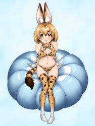 Rule 34 | 10s, 1girl, animal ears, bare shoulders, bikini, blonde hair, blue background, blush, bow, bowtie, breasts, breasts apart, brown eyes, closed mouth, collarbone, covered erect nipples, cushion, detached collar, elbow gloves, full body, gloves, groin, hair between eyes, highres, himadarou, kemono friends, looking at viewer, medium breasts, navel, serval (kemono friends), serval print, serval tail, simple background, sitting, smile, solo, striped tail, swimsuit, tail, thighhighs