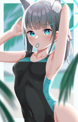 Rule 34 | 1girl, absurdres, animal ear fluff, animal ears, black one-piece swimsuit, blue archive, blue eyes, breasts, collarbone, competition swimsuit, covered navel, cowboy shot, cross hair ornament, extra ears, grey hair, hair ornament, halo, highres, low ponytail, medium hair, mismatched pupils, mouth hold, multicolored clothes, multicolored swimsuit, one-piece swimsuit, rindou ringdong, shiroko (blue archive), shiroko (swimsuit) (blue archive), small breasts, solo, swimsuit