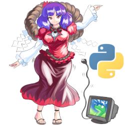 Rule 34 | 1girl, cable, closed mouth, crt, electric plug, frilled shirt, frilled sleeves, frills, full body, highres, layered sleeves, long skirt, long sleeves, looking at viewer, mirror, monitor, no socks, profitshame, puffy long sleeves, puffy sleeves, python (programming language), red shirt, red skirt, rope, sandals, shide, shimenawa, shirt, short over long sleeves, short sleeves, simple background, skirt, smile, solo, touhou, white background, white shirt, yasaka kanako, zouri