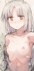 Rule 34 | &gt;:(, 10s, 1girl, animal ears, bad id, bad twitter id, blush, brave witches, breasts, brown eyes, collarbone, edytha rossmann, fox ears, frown, long hair, looking at viewer, lowres, nipples, nude, ohashi (hashidate), ribs, silver hair, small breasts, solo, strike witches, upper body, v-shaped eyebrows, world witches series