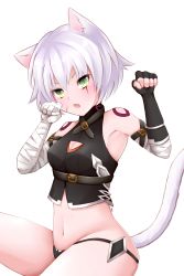 Rule 34 | 1girl, absurdres, animal ears, animal hands, bandaged arm, bandages, bare shoulders, black legwear, black panties, blush, breasts, cat ears, cat tail, fate/apocrypha, fate/grand order, fate (series), gloves, green eyes, grey hair, highres, jack the ripper (fate/apocrypha), looking at viewer, navel, open mouth, panties, scar, scar across eye, short hair, shoulder tattoo, simple background, single glove, small breasts, solo, tail, tattoo, transparent background, underwear, white background