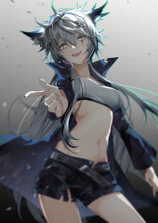 Rule 34 | 1girl, :d, animal ears, arknights, bad proportions, bandeau, belt, black belt, black jacket, black shorts, breasts, cowboy shot, grey background, grey eyes, grey hair, hair between eyes, hair ornament, hairclip, highres, indai (3330425), jacket, lappland (arknights), long hair, long sleeves, looking at viewer, medium breasts, midriff, navel, open clothes, open jacket, open mouth, scar, scar across eye, sharp teeth, short shorts, shorts, simple background, smile, solo, standing, stomach, strapless, teeth, tube top, very long hair, wolf ears