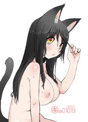 Rule 34 | 1girl, animal ears, black hair, blush, breasts, cat ears, cat girl, cat tail, completely nude, dated, facing to the side, female focus, kei jiei, large breasts, long hair, nipples, nude, original, playing with own hair, signature, solo, tail, wet, yellow eyes