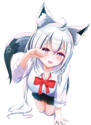 Rule 34 | 1girl, ahoge, animal ear fluff, animal ears, black skirt, blush, bow, bowtie, braid, breasts, cleavage, commentary request, earrings, fox ears, fox girl, fox tail, green eyes, hair between eyes, highres, hololive, jewelry, kneeling, large breasts, long hair, long sleeves, looking at viewer, open mouth, paw pose, pentagram, red bow, red bowtie, shatiku 72, shirakami fubuki, shirt, sidelocks, simple background, single braid, skirt, solo, tail, virtual youtuber, white background, white hair, white shirt