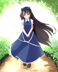 Rule 34 | 1girl, akiira, backlighting, bare arms, black hair, black ribbon, bloom, blue bow, blue dress, bow, breasts, bright pupils, brown eyes, bush, commentary request, dress, fairy wings, full body, hair bow, head tilt, highres, light smile, long hair, looking at viewer, neck ribbon, overexposure, path, petticoat, puffy short sleeves, puffy sleeves, ribbon, road, shoes, short sleeves, small breasts, solo, split mouth, star sapphire, touhou, v arms, very long hair, walking, wing collar, wings