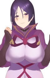 Rule 34 | 1girl, bad id, bad pixiv id, black gloves, blush, bodysuit, breasts, elbow gloves, fate/grand order, fate (series), fingerless gloves, gloves, highres, large breasts, long hair, looking at viewer, minamoto no raikou (fate), nohohon pictures, parted bangs, parted lips, purple bodysuit, purple eyes, purple hair, ribbed sleeves, rope, simple background, smile, solo, very long hair, white background