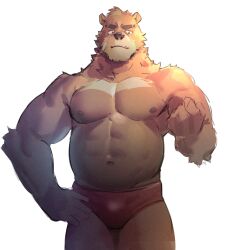 Rule 34 | 1boy, abs, absurdres, animal ears, bandaid, bandaid on cheek, bandaid on face, bara, bear boy, bear ears, belly, briefs, brown fur, bulge, clenched hand, fang, fang out, furry, furry male, highres, large pectorals, looking at viewer, male focus, male underwear, mature male, muscular, muscular male, navel, neumo, nipples, original, pectorals, red male underwear, short hair, solo, stomach, strongman waist, thick eyebrows, thick thighs, thighs, topless male, underwear, wrestling outfit