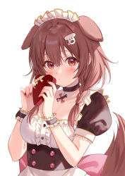 Rule 34 | 1girl, animal ears, black choker, black nails, blush, box, braid, breasts, brown eyes, brown hair, candy, center frills, chocolate, chocolate heart, choker, closed mouth, commentary, corset, dog ears, dog girl, dog hair ornament, dog tail, extra ears, food, frills, fukahire (ruinon), gift, gift box, hair between eyes, hair ornament, hands up, heart, heart-shaped box, highres, holding, holding box, hololive, hoso-inu, inugami korone, long hair, looking at viewer, maid, medium breasts, multicolored nails, nail polish, pink nails, puffy short sleeves, puffy sleeves, shirt, short sleeves, simple background, solo, symbol-only commentary, tail, tail raised, twin braids, upper body, virtual youtuber, white background, white shirt