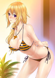 Rule 34 | 10s, 1girl, arms behind back, bad id, bad pixiv id, bikini, blonde hair, blush, breasts, charlotte dunois, cleavage, female focus, highres, infinite stratos, jewelry, large breasts, leaning forward, lips, long hair, looking at viewer, navel, necklace, parted lips, purple eyes, side-tie bikini bottom, smile, solo, striped bikini, striped clothes, swimsuit, zucchini