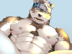 Rule 34 | 1boy, abs, ainu, animal ears, bara, chest hair, completely nude, feet out of frame, fuga9, furry, furry male, grey fur, grey hair, headband, horkeu kamui, large pectorals, looking at viewer, male focus, muscular, muscular male, navel, nipples, nude, open mouth, out-of-frame censoring, pectorals, sexually suggestive, short hair, solo, spread legs, stomach, thighs, tokyo houkago summoners, two-tone fur, white fur, wolf boy, wolf ears, yellow eyes