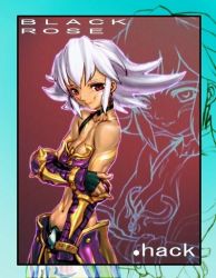 Rule 34 | .hack//, .hack//games, 1girl, armor, artist request, bandai, black rose (.hack//), cyber connect 2, facial mark, hack, midriff, red eyes, solo, tan, white hair