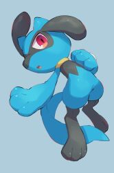 Rule 34 | black fur, blue background, blue fur, blue tail, creatures (company), game freak, gen 4 pokemon, highres, looking at viewer, nintendo, no humans, nullma, open mouth, pokemon, pokemon (creature), red eyes, riolu, simple background, solo, two-tone fur