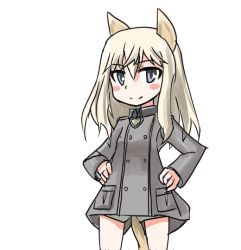 Rule 34 | 1girl, animal ears, blonde hair, blue eyes, blush, hand on own hip, hands on own hips, long hair, military, military uniform, msgtkurage, ottilie kittel, strike witches, tail, thighs, uniform, world witches series