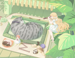 Rule 34 | 2girls, :d, animal, bare arms, bare shoulders, barefoot, blonde hair, blue eyes, blush, bow, bowl, braid, brown hair, cat, closed eyes, closed mouth, dress, emia wang, fairy, flower, food, frilled dress, frills, green flower, green rose, hair bow, highres, holding, holding food, long hair, mini person, minigirl, multiple girls, open mouth, original, pet bowl, pet food, pointy ears, rose, short sleeves, side braids, sitting, sleeping, sleeveless, sleeveless dress, smile, spyglass, standing, toy, twin braids, very long hair, wavy hair, white bow, white dress, wooden floor