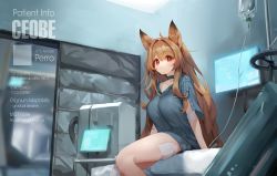 Rule 34 | 1girl, ahoge, animal ears, arknights, arm support, arms at sides, bandaid, bandaid on leg, bed, blurry, blurry background, breasts, brown hair, ceobe (arknights), character name, character profile, choker, collarbone, commentary request, dog ears, highres, hospital, hospital bed, intravenous drip, large breasts, long hair, looking at viewer, on bed, red eyes, screen, shirt, short sleeves, shorts, sitting, smug, solo, tai (e3d1p), very long hair