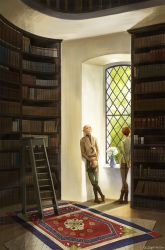 Rule 34 | 1boy, 1girl, artist name, bald, book, bookshelf, boots, cheetahman (1ddghfr78cswc), dragon age, dragon age: inquisition, elf, flower, hair bun, highres, holding, holding book, indoors, inquisitor (dragon age), jewelry, ladder, leaning, library, looking outside, looking up, necklace, own hands together, pants, pointy ears, red hair, rug, shirt, single hair bun, smile, solas, vase, window