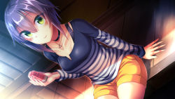 Rule 34 | 1girl, arm at side, black choker, blush, breasts, choker, closed mouth, collarbone, day, dosu (doseven), dutch angle, food, fruit, green eyes, hair between eyes, highres, holding, holding food, jewelry, long sleeves, looking at viewer, medium breasts, necklace, on floor, orange shorts, original, outdoors, pendant, purple hair, shirt, short hair, short shorts, shorts, sitting, sliding doors, smile, solo, striped clothes, striped shirt, summer, sunlight, tatami, watermelon, watermelon seeds, wooden floor