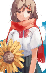Rule 34 | 1girl, blue background, bow, bowtie, brown eyes, brown hair, closed mouth, commentary request, day, enpera, expressionless, flower, fringe trim, grey skirt, hair between eyes, hair ornament, hairclip, highres, kagerou project, mekakucity actors, muuta04, pleated skirt, red bow, red bowtie, red scarf, scarf, school uniform, short sleeves, sketch, skirt, solo, straight-on, summer uniform, sunflower, tateyama ayano, upper body, white background, yellow flower