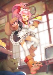 Rule 34 | 1girl, alternate costume, animal, animal ears, animal hands, apron, bell, breasts, cat, cat paws, closed eyes, collar, enmaided, fangs, fate/grand order, fate (series), food, fox ears, fox tail, fruit, gloves, highres, indoors, jingle bell, long hair, looking at viewer, maid, maid apron, maid headdress, medium breasts, neck bell, open mouth, orange (fruit), paw gloves, paw shoes, pink hair, ponytail, segamark, shoes, smile, solo, tail, tamamo (fate), tamamo cat (fate), tamamo cat (second ascension) (fate), white legwear, yellow eyes