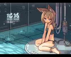 Rule 34 | 1girl, android, animal ears, anklet, barefoot, bikini, blue eyes, brown hair, cable, cable tail, cat ears, commentary request, english text, highres, jewelry, jitome, letterboxed, long hair, mechanical tail, mixed-language text, nancou (nankou), original, recharging, side-tie bikini bottom, sitting, solo, swimsuit, tail, tankini, usb, wariza, water, wet