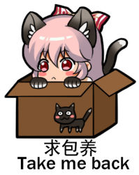 Rule 34 | 1girl, animal ears, animal hands, bilingual, blush, blush stickers, bow, box, cat, cat paws, chinese text, commentary request, ears visible through hair, english text, engrish text, fujiwara no mokou, hair between eyes, hair bow, in box, in container, jokanhiyou, long hair, lowres, mixed-language text, open box, pink hair, ranguage, red eyes, simple background, simplified chinese text, solo, squatting, touhou, translation request, white background