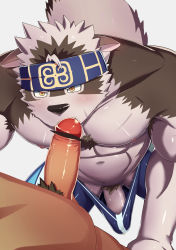 Rule 34 | 2boys, abs, ainu clothes, animal ears, bar censor, bara, blue male swimwear, blush, bulge, censored, chest hair, clothed male nude male, erection, erection under clothes, fellatio, from above, furry, furry male, furry with non-furry, grey fur, grey hair, headband, highres, horkeu kamui, interspecies, jammers, kawara gawara, large pectorals, licking, licking penis, male focus, male pubic hair, male swimwear, multicolored hair, multiple boys, muscular, muscular male, navel, nipples, nude, oral, pectorals, penis, penis peek, pov, precum, pubic hair, short hair, stomach, tail, tokyo houkago summoners, topless male, two-tone fur, two-tone hair, wolf boy, wolf ears, wolf tail, yaoi, yellow eyes