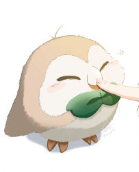 Rule 34 | 1other, antenna hair, beak, bird, blush stickers, closed eyes, closed mouth, commentary request, creatures (company), game freak, gen 7 pokemon, happy, highres, nintendo, owl, pokemon, pokemon (creature), poking nose, rowlet, signature, standing, suchi (fsur7444), twitter username, white background
