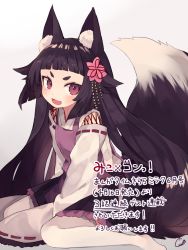 Rule 34 | 1girl, animal ear fluff, animal ears, black hair, blunt bangs, blush, commentary request, fang, flipped hair, flower, fox ears, fox tail, frilled skirt, frills, grey background, hair flower, hair ornament, japanese clothes, long hair, long sleeves, looking to the side, miko, open mouth, red eyes, short eyebrows, shugao, sidelocks, signature, sitting, skirt, smile, solo, tail, text focus, thighhighs, tsurime, very long hair, wariza, wide sleeves