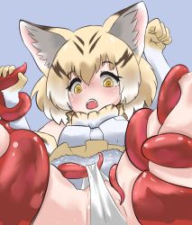 Rule 34 | 1girl, absurdres, animal ears, blonde hair, brown hair, cameltoe, cat ears, cat girl, commentary, elbow gloves, gloves, highres, kemono friends, multicolored hair, nuelogical, open mouth, panties, sand cat (kemono friends), solo, tentacles, two-tone hair, underwear, white panties, yellow eyes