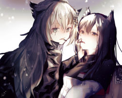 Rule 34 | 2girls, animal ears, ariez, arknights, black hair, brown eyes, capelet, food, fox ears, grey eyes, hair between eyes, hand on another&#039;s face, highres, lappland (arknights), long hair, looking at viewer, mouth hold, multicolored hair, multiple girls, pocky, pocky kiss, scar, scar across eye, scar on face, shared food, signature, silver hair, streaked hair, texas (arknights), yuri