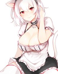 Rule 34 | 1girl, anchor choker, animal ears, apron, azur lane, black dress, blush, breasts, cat ears, cat tail, choker, cleavage, closed mouth, collarbone, dress, foreshortening, frilled choker, frills, hair between eyes, hair intakes, hairband, hand up, lace-trimmed hairband, lace trim, large breasts, light smile, lips, looking at viewer, nee (nuuu ee), puffy short sleeves, puffy sleeves, red eyes, short hair, short sleeves, simple background, sirius (azur lane), sitting, solo, tail, tareme, thighhighs, two-tone dress, waist apron, white apron, white dress, white hair, white thighhighs