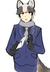 Rule 34 | 1boy, animal ear fluff, animal ears, black gloves, black hair, blue jacket, brown eyes, cowboy shot, cropped legs, extra ears, fang, formal, fox boy, fox ears, fox tail, fur-trimmed sleeves, fur collar, fur trim, genderswap, genderswap (ftm), gloves, grey hair, highres, holding, holding letter, igarashi (nogiheta), jacket, kemono friends, letter, long sleeves, looking at viewer, male focus, multicolored hair, necktie, open mouth, short hair, silver fox (kemono friends), simple background, solo, suit, suit jacket, tail, white background