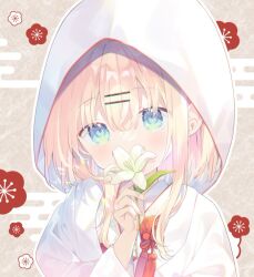 Rule 34 | blonde hair, blue eyes, brown background, commentary request, covered mouth, egasumi, floral background, flower, hair between eyes, hair ornament, hairclip, hand up, holding, holding flower, hood, hood up, japanese clothes, kimono, long sleeves, looking at viewer, mayu (yuizaki kazuya), original, upper body, white flower, white kimono, wide sleeves, yuizaki kazuya