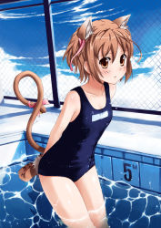 Rule 34 | 00s, 1girl, animal ears, animal hands, arms behind back, bad id, bad pixiv id, bell, blue sky, brown eyes, brown hair, cat ears, cat tail, chain-link fence, fence, nekomiya nono, one-piece swimsuit, orange eyes, pool, ribbon, school swimsuit, short hair, sky, softmode, solo, swimsuit, tail, wading, water, yotsunoha